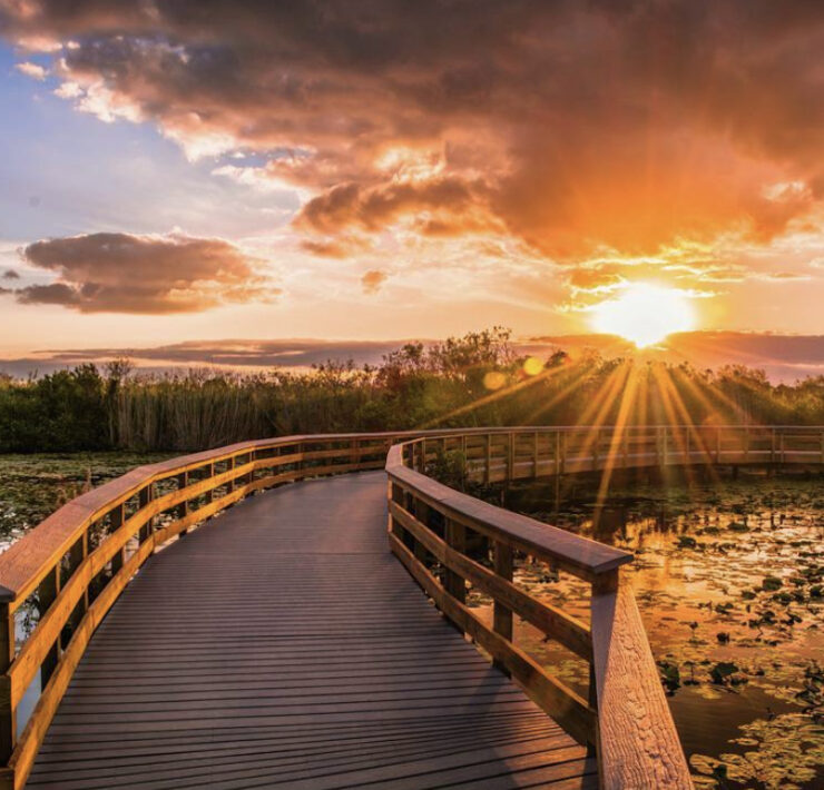 Anhinga Trail David Carrillo