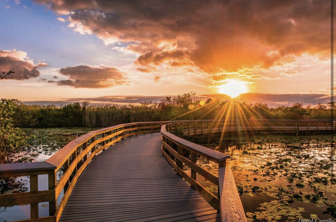 Anhinga Trail David Carrillo