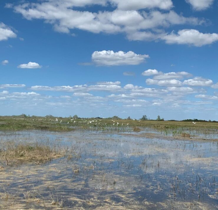 Big Cypress everglades Sky