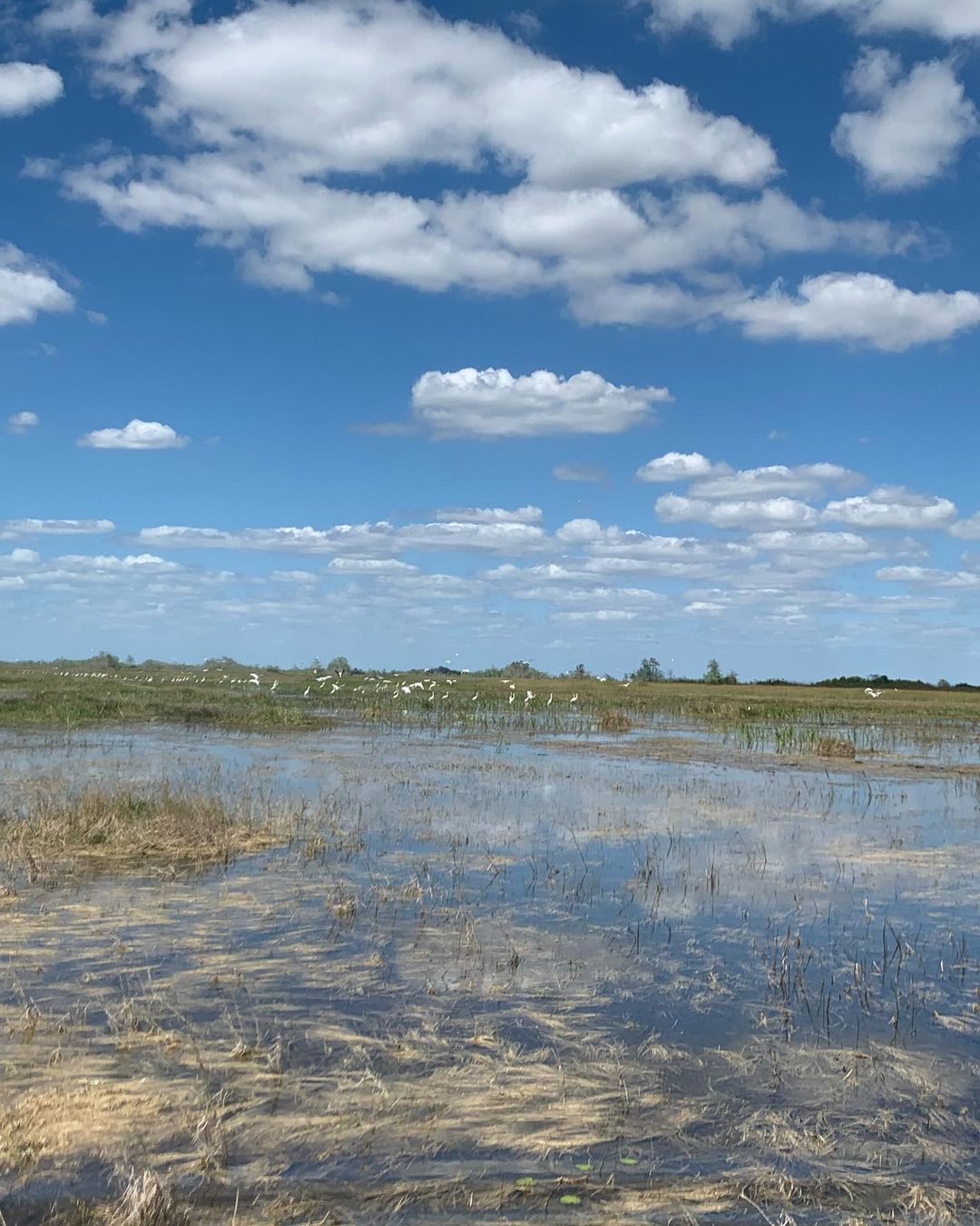Big Cypress everglades Sky