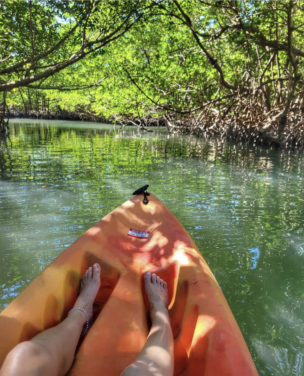 Oleta River State Park Kayak with Monika
