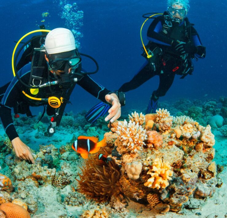 Scuba Instruction and Certification Dives in Key Biscayne