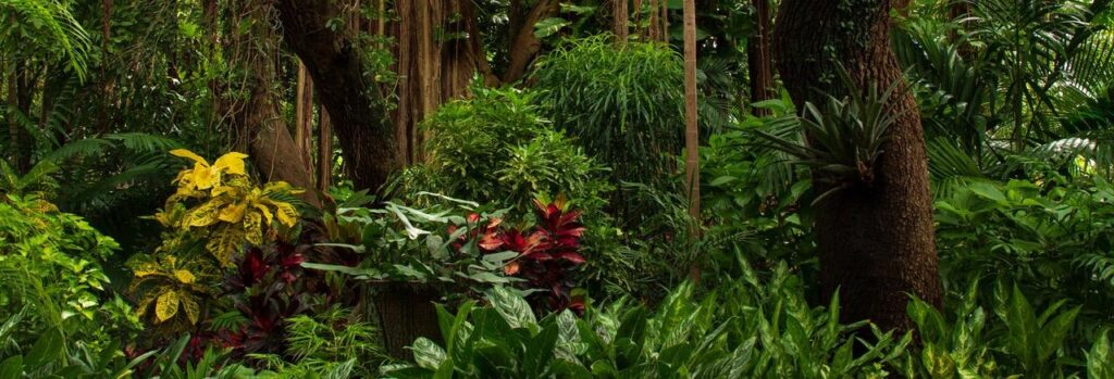 Botanical Gardens in Miami
