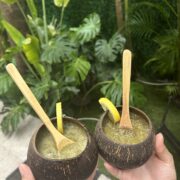 Kava Garden and Kratom Bar in Miami
