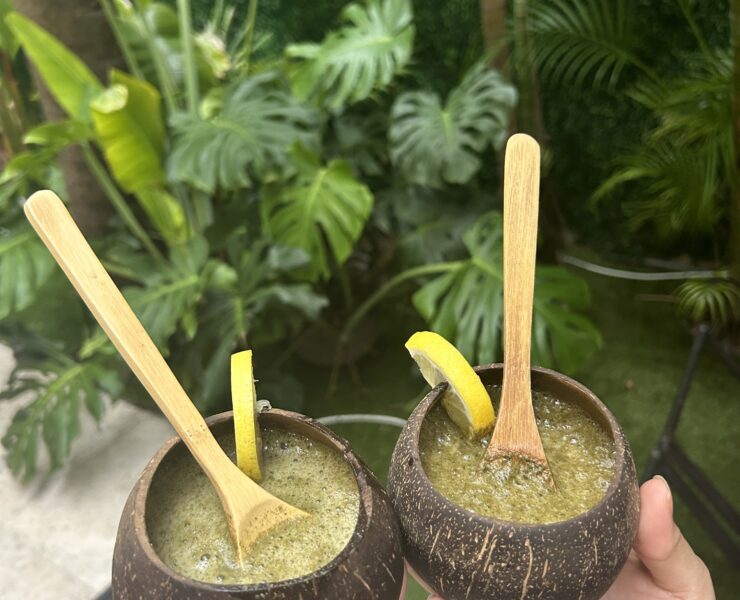 Kava Garden and Kratom Bar in Miami