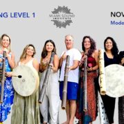 Sound Healing Level 1 with Jared Bistrong