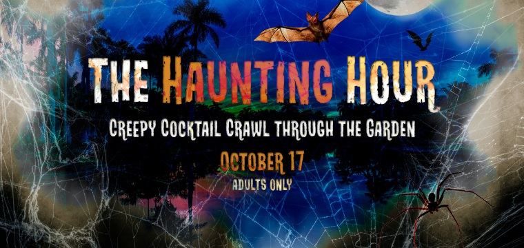 The Haunting Hour: Unveil, Unlock, Unwind