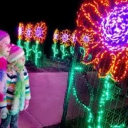 Pinecrest Gardens Nights of Lights