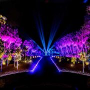 night garden miami