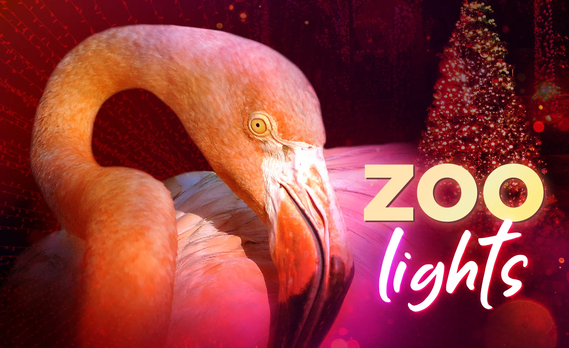 Zoo Lights Miami