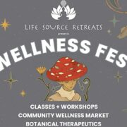 Wellness-Fest-presented by-Mush-Melo