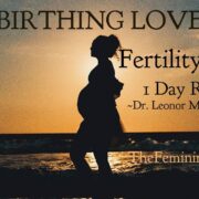 BIRTHING LOVE - Fertility Reset - 1 Day Retreat