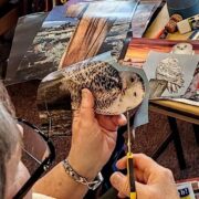 SoulCollage® Workshop