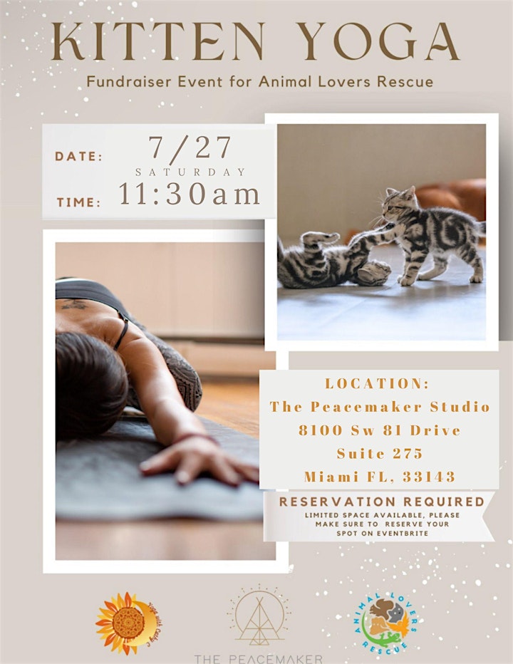 Breathe Miami Kitten Yoga For A Good Cause