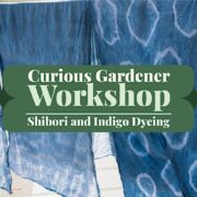 Shibori & Indigo Dying Workshop