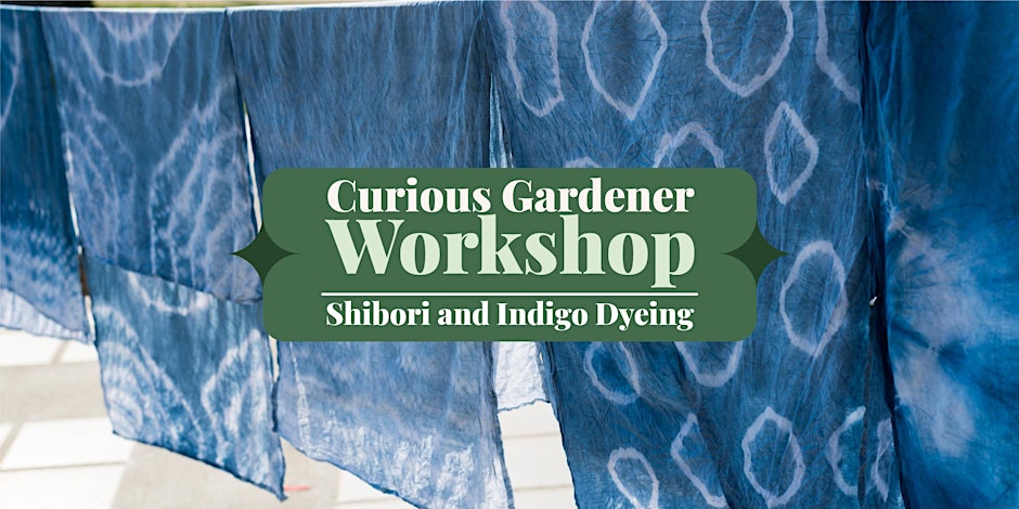 Shibori & Indigo Dying Workshop