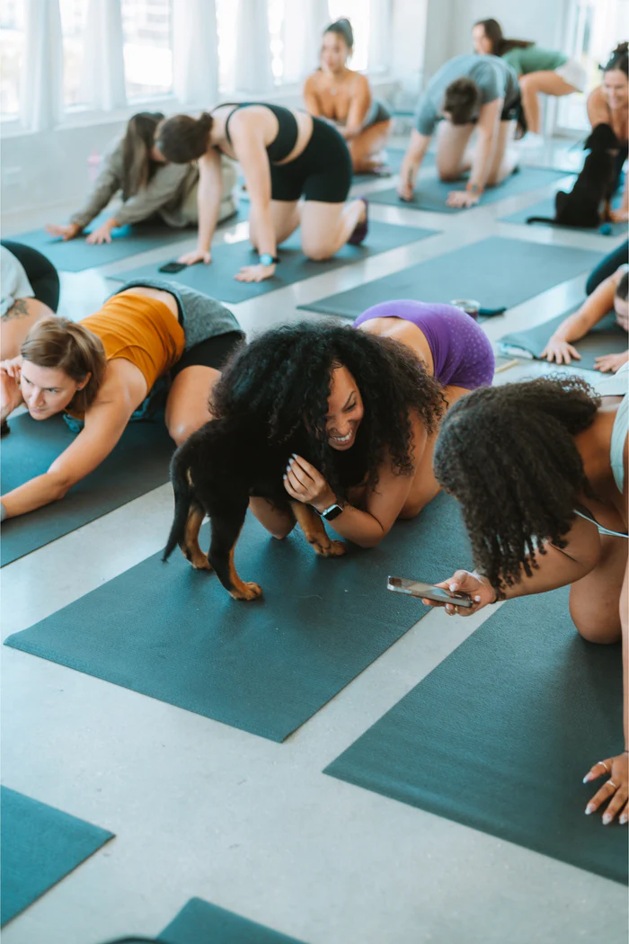 Puppy Yoga & Bubbly