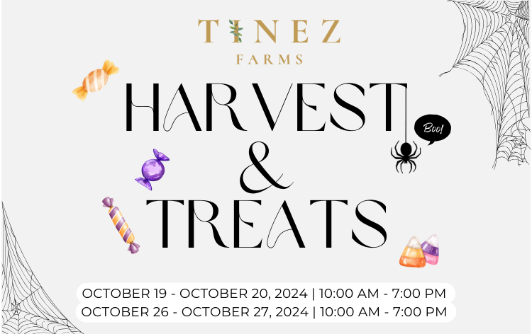 Harvest and Treats