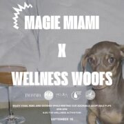 Paws & Peace Reiki, Wine, and Wellness at Magie Miami