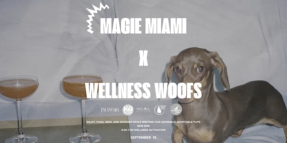 Paws & Peace: Reiki, Wine, and Wellness at Magie Miami