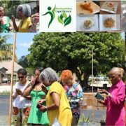 Plant-based Wellness Experience