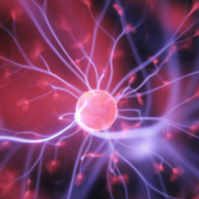 nightLAB Weird Science