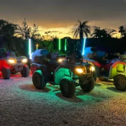 Miami Night ATV Tour