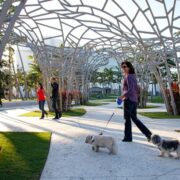 New World Center Tours