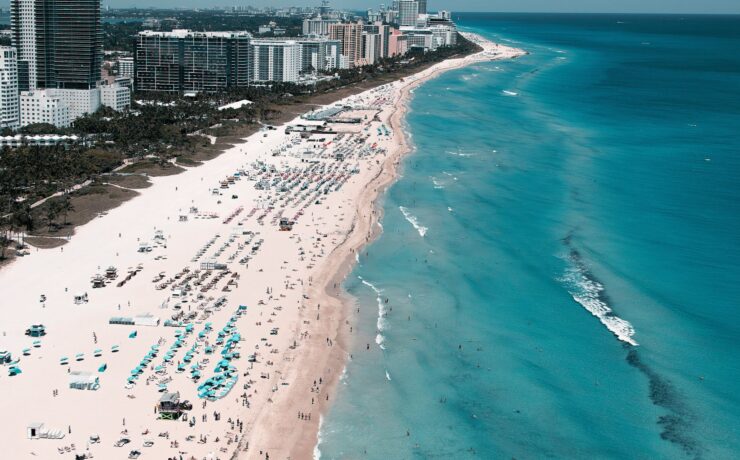 Things to do in Miami in November