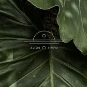 Vinyasa Yoga Class at Align Studio