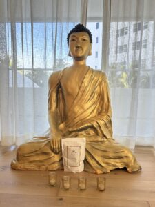 Samadi Soul Reza Cacao