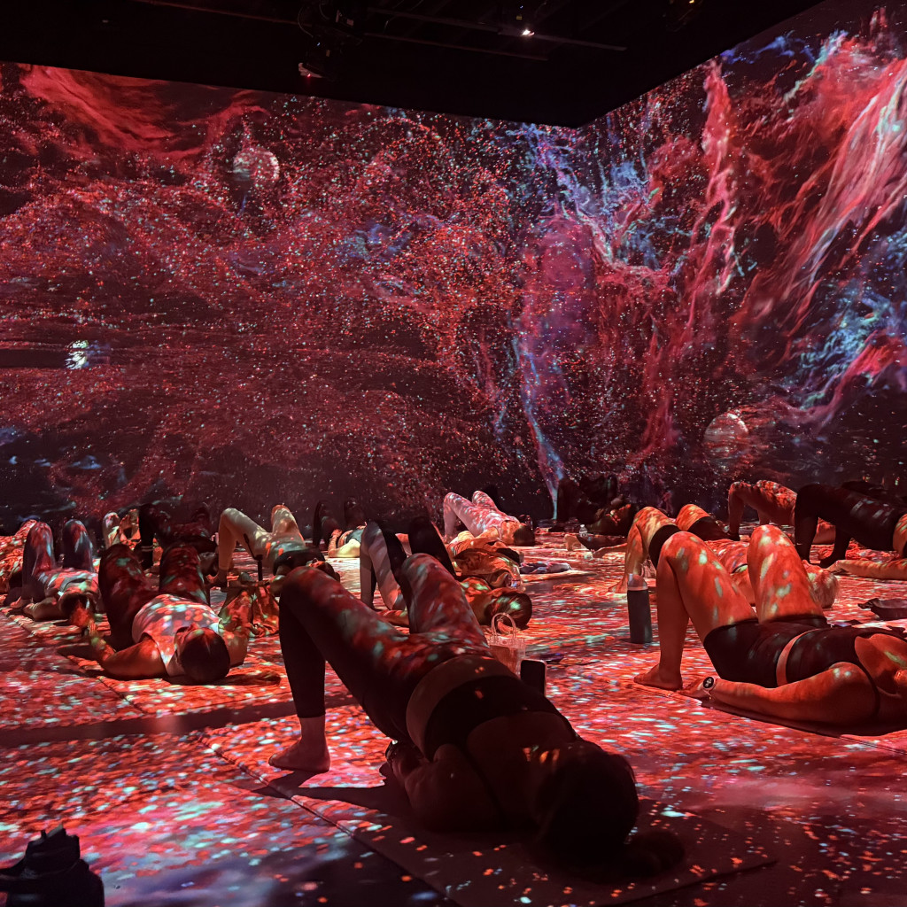Immersive Yoga Flow w/ ANNA BRONSON YOGA