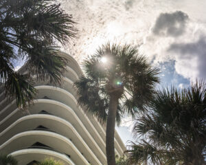 Samadi Soul Ceremony & Tierra Santa Present Spirit of the Amazon Concert