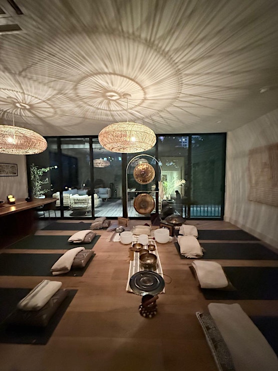 Samadi Soul Karma Hacking Swami Revatikaanta and Jennifer Denali